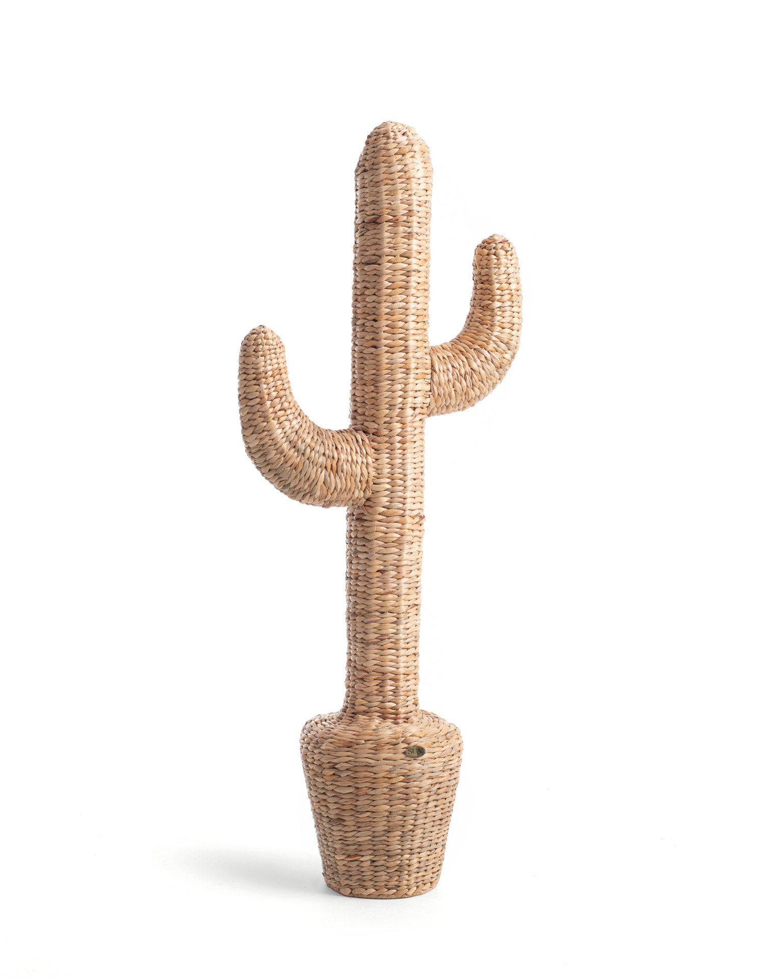 CACTUS DECOR  2 Thumbnail